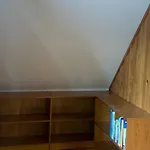 Urlaub Mit Hund * Friedrichroda