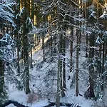 Nyaraló Urlaub Mit Hund Friedrichroda