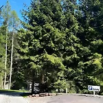 Urlaub Mit Hund * Friedrichroda