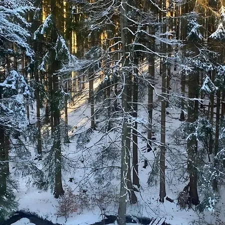 Holiday home In Finsterbergen Friedrichroda