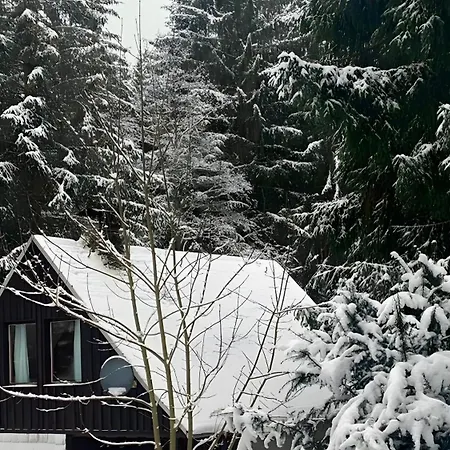 In Finsterbergen *