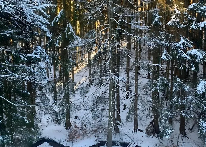 Holiday home Urlaub Mit Hund Friedrichroda