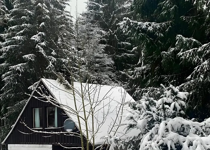 Holiday home Urlaub Mit Hund Friedrichroda