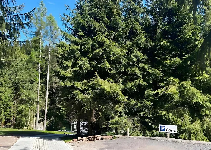 Urlaub Mit Hund * Friedrichroda